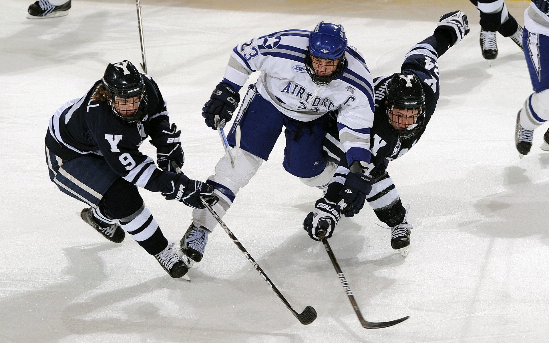 欧冠半决赛焦点战，快船击溃黄蜂
